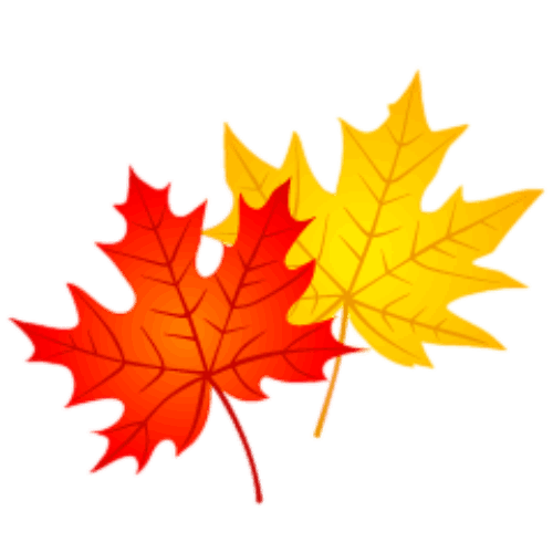 جشنواره پاییزه قالیشویی