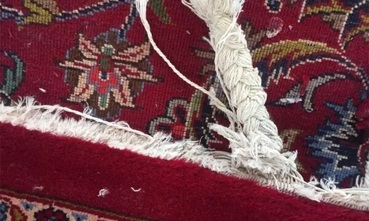 ریشه زنی