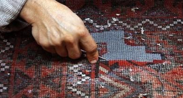 روش‌های از بین بردن بید فرش